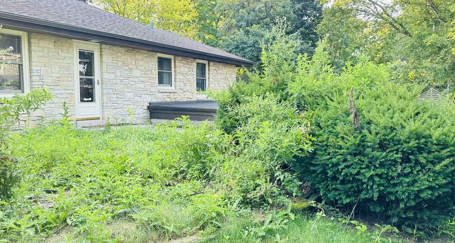 Prepping the land for gravel and stone.