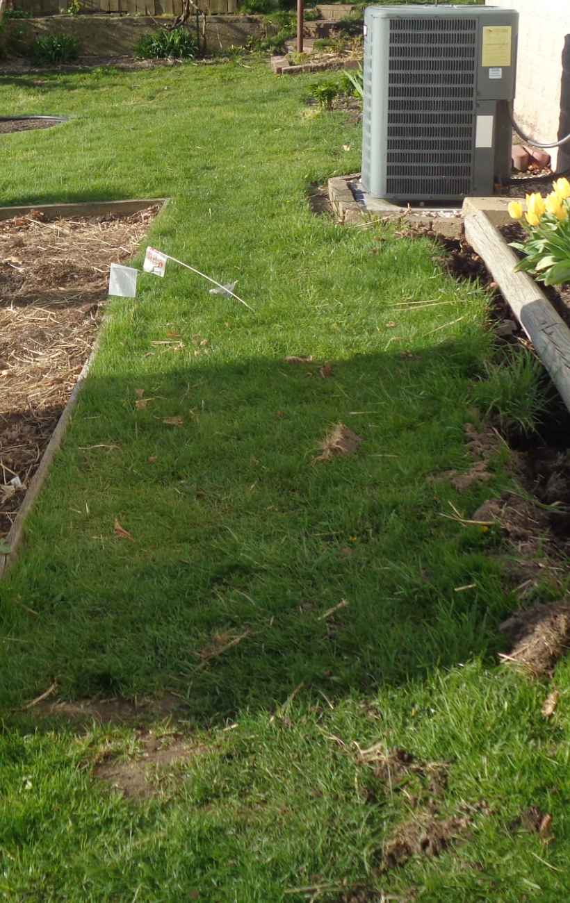 Prepping the land for gravel and stone.