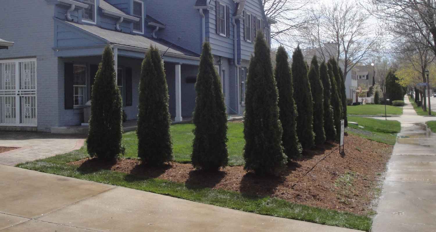 View of finished patio and fireplace.