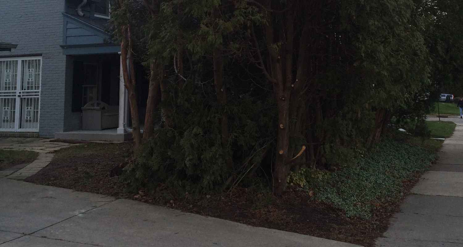 Prepping the land for gravel and stone.