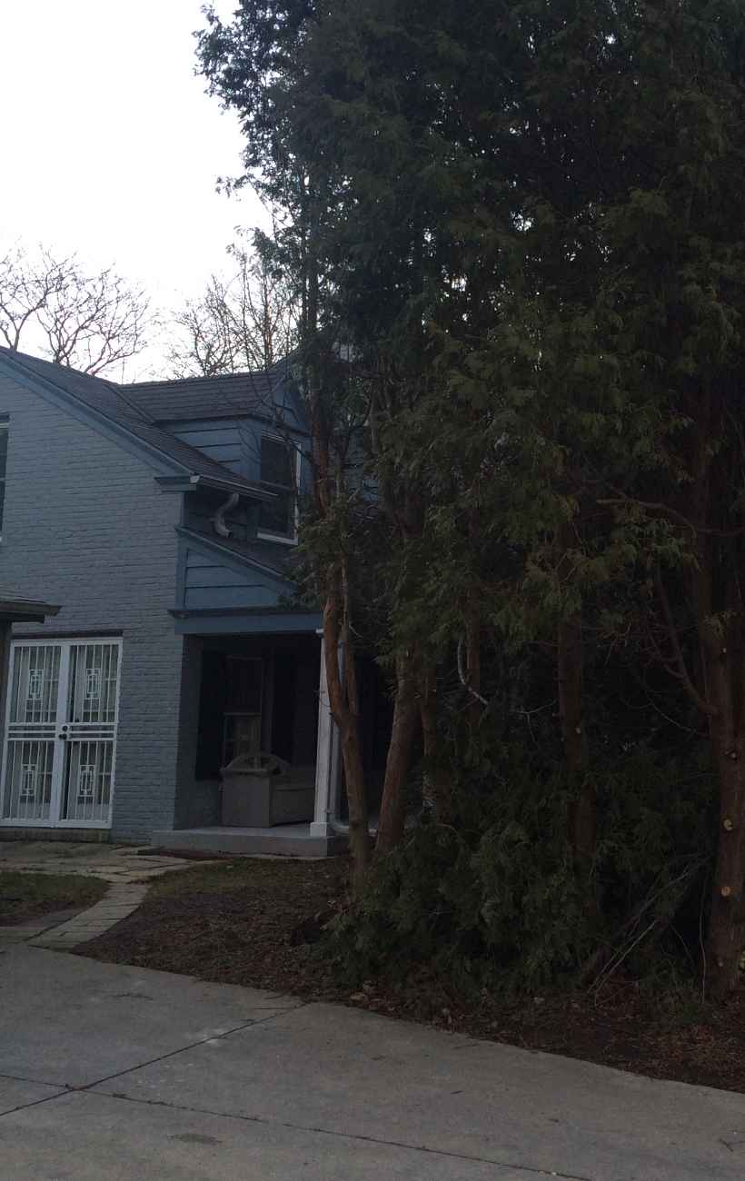 Prepping the land for gravel and stone.